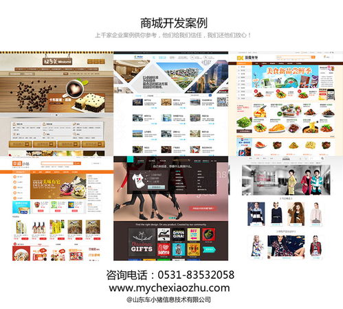 德州商城網站設計開發(fā) seo策劃案