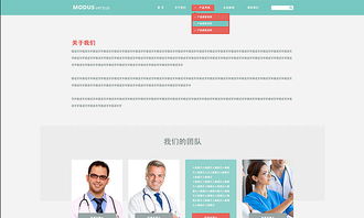 天津網站設計之醫療器械官網